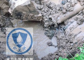 安源区水管漏水检测公司5